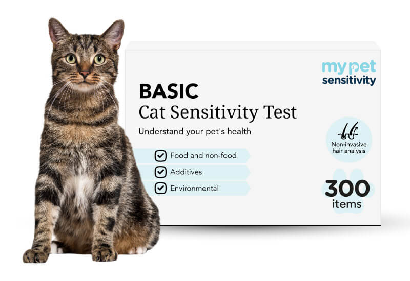 Basic Cat Food Sensitivity Test