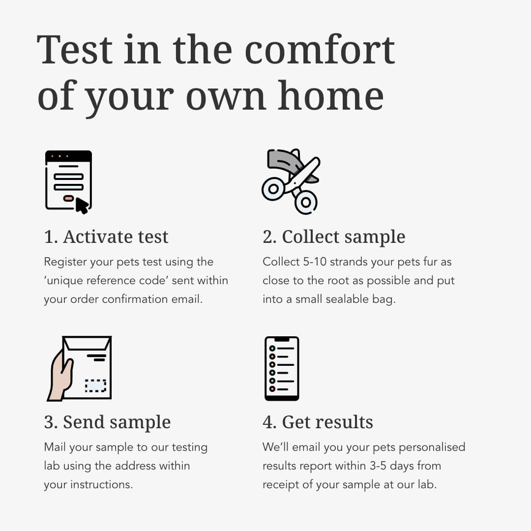 Ultimate Pet Food Sensitivity Test