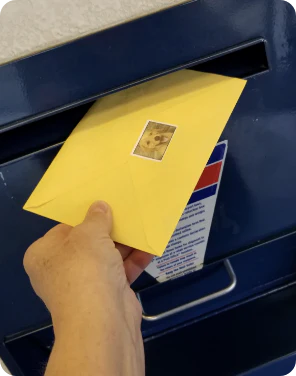 Receive your results